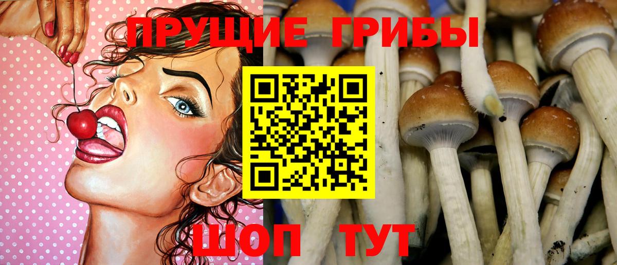 КОКАИН Сланцы