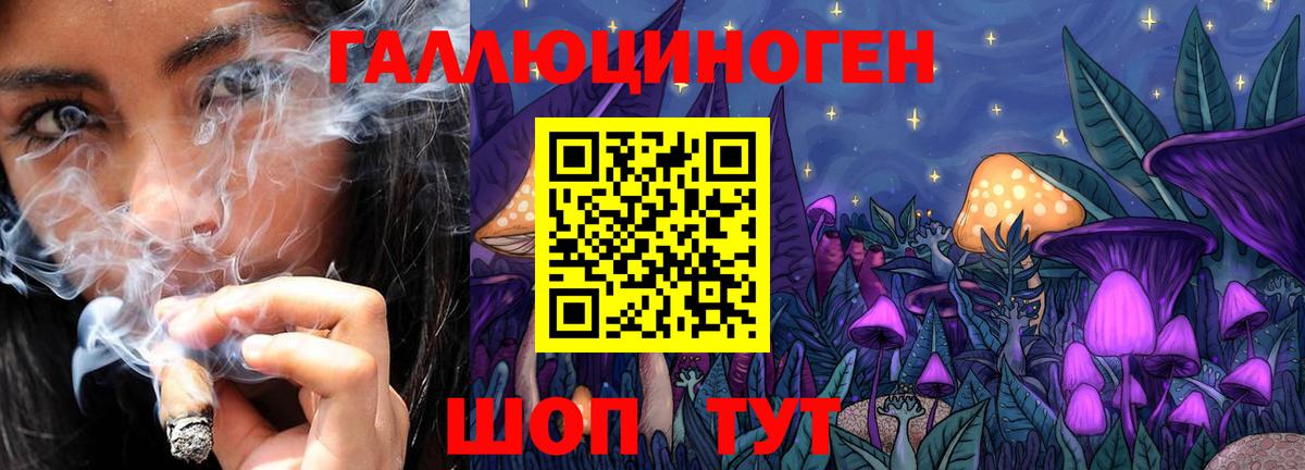 Сланцы  Галлюциногенные грибы Magic Shrooms  Вход с VPN  Псилоцибиновые грибы ЛСД 